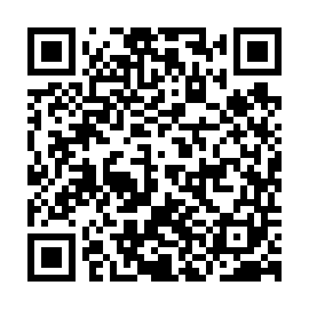 QR code for INI641
