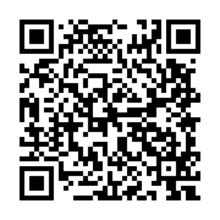 QR code for INM595