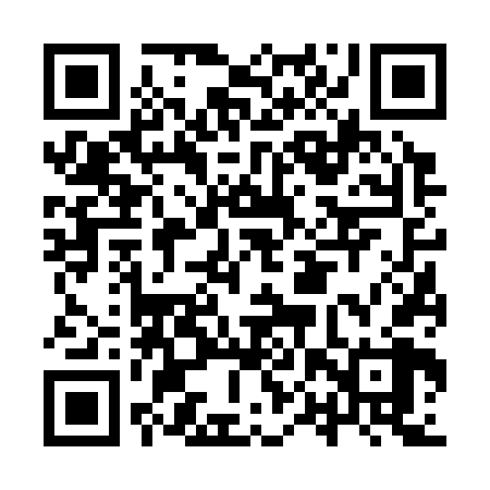 QR code for IPV368