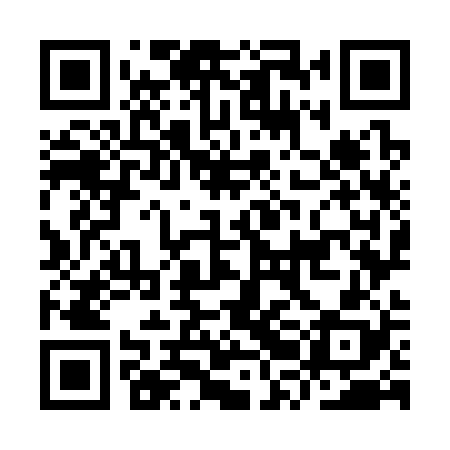 QR code for IRO328