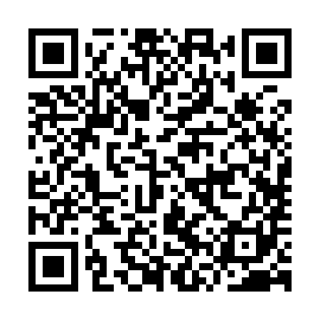 QR code for IVR981