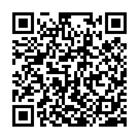 QR code for IYF411