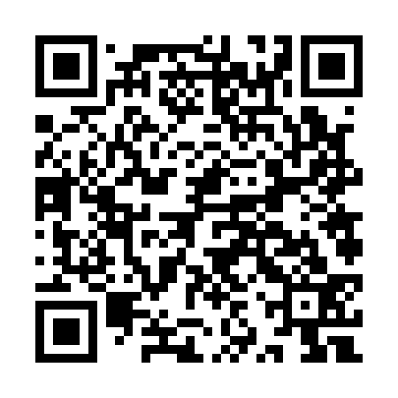 QR code for IZV133