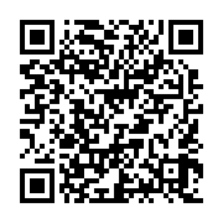 QR code for JAL249