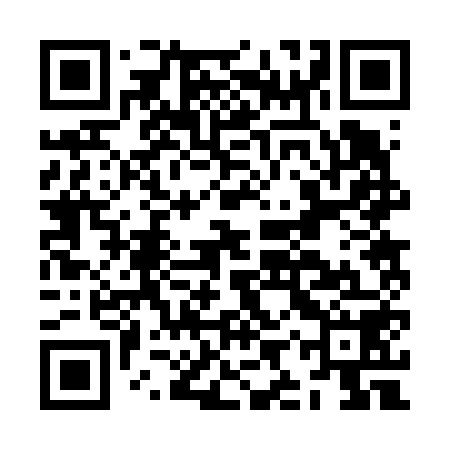 QR code for JIR658