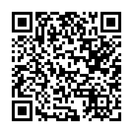 QR code for JPG381