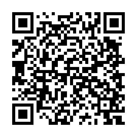QR code for JVT441