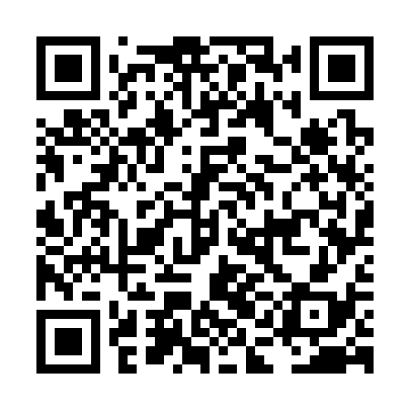QR code for LAG338