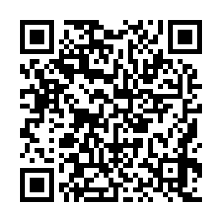 QR code for LAI978