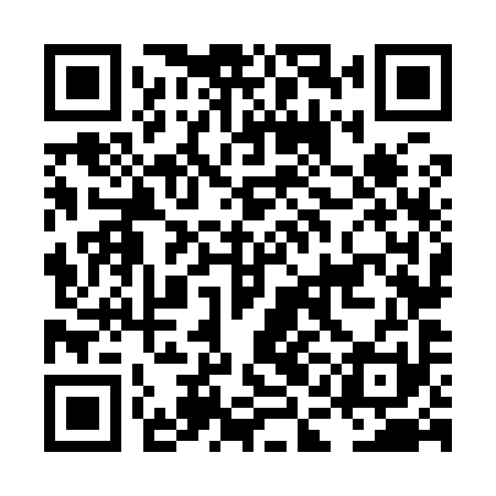 QR code for LAN991