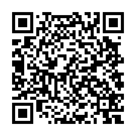 QR code for LAV029