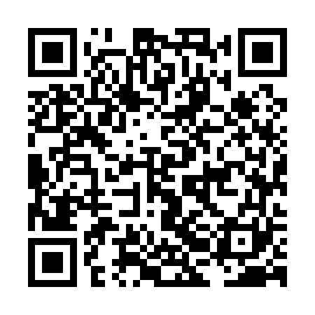 QR code for LBM161
