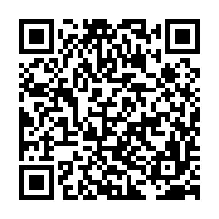 QR code for LDI196