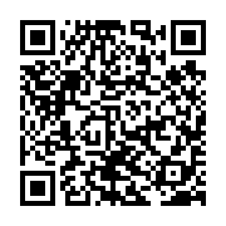 QR code for LDV698