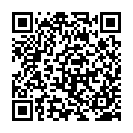 QR code for LFW384