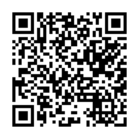 QR code for LIE285