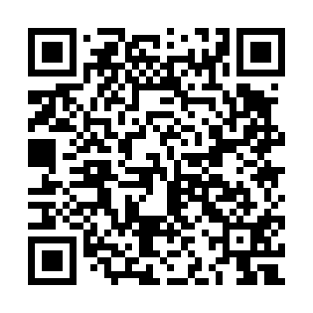 QR code for LJQ411