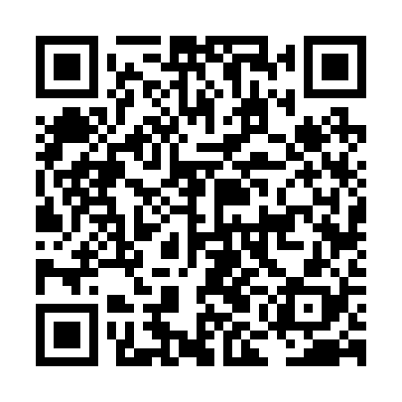 QR code for LMF228