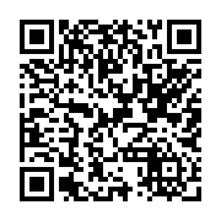 QR code for LPM294