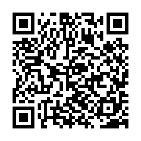 QR code for LQN295