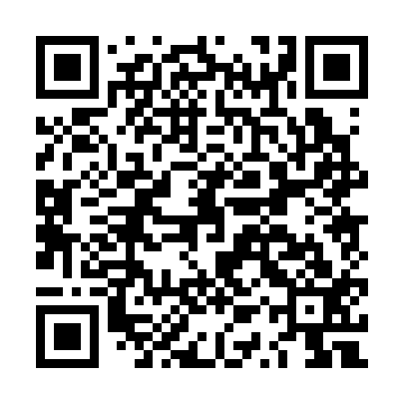 QR code for LQP313