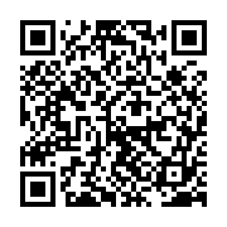 QR code for LSG973