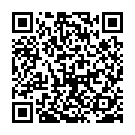 QR code for LSO328