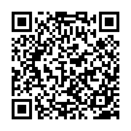 QR code for LSV007