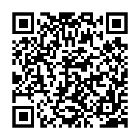 QR code for LSV616