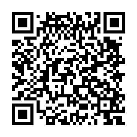 QR code for LUI441