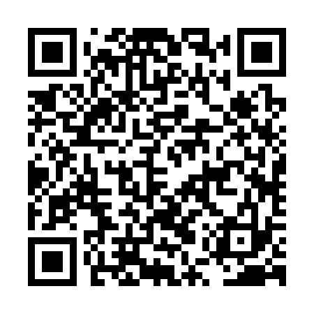QR code for LUR333
