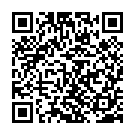 QR code for LVO050