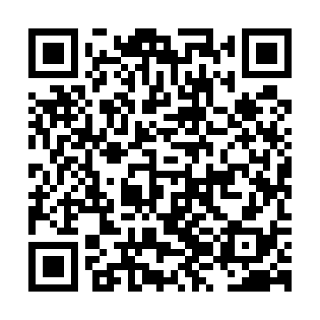 QR code for LZI538