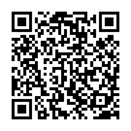 QR code for LZJ489