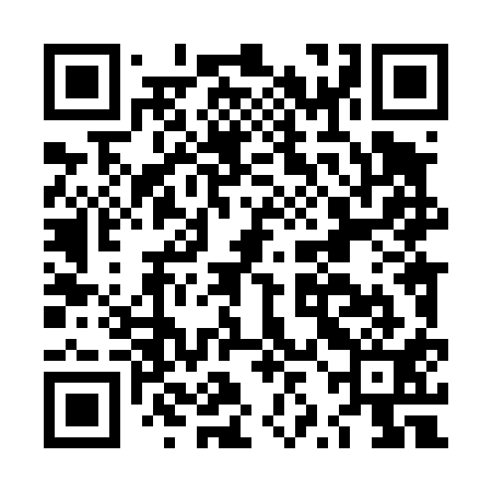 QR code for LZL411