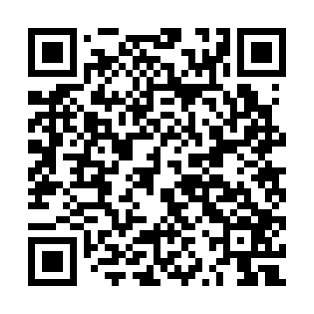 QR code for LZR306