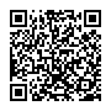 QR code for LZS489