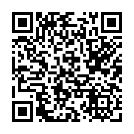 QR code for LZX383