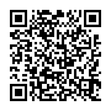 QR code for LZX613