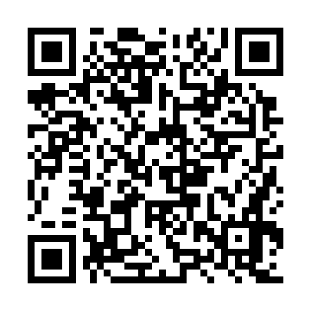 QR code for LZZ376