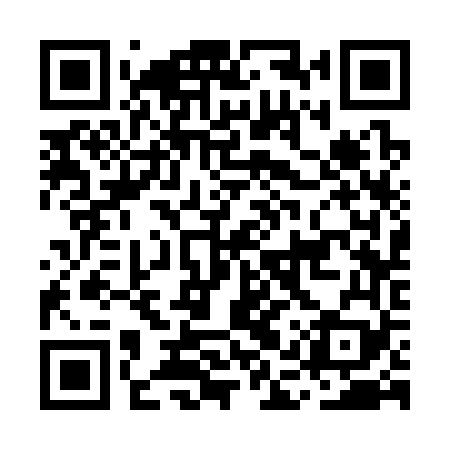 QR code for MAS369