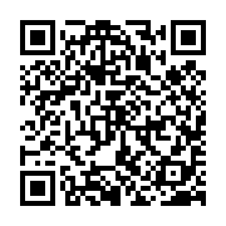 QR code for MAV498