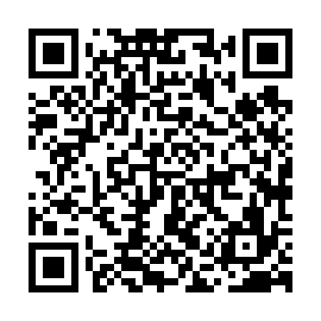 QR code for MAX636
