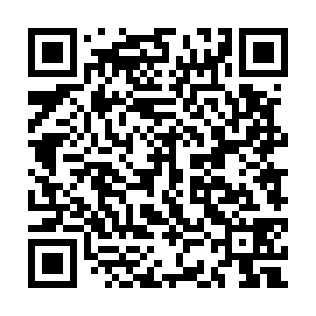 QR code for MCD538