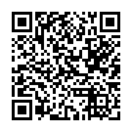 QR code for MFF381