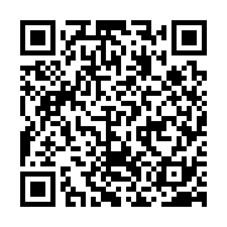 QR code for MGG331