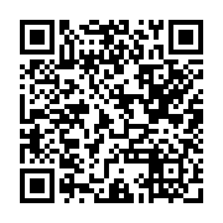 QR code for MIC389