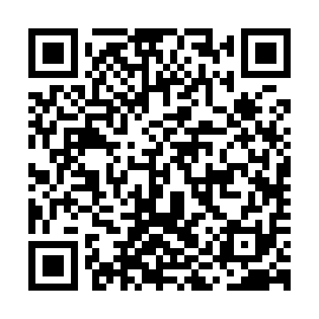 QR code for MIR911