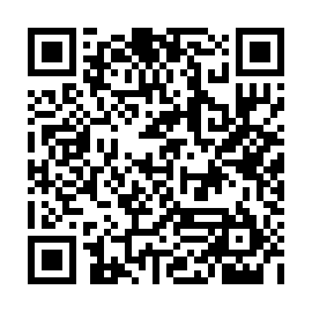 QR code for MLE295