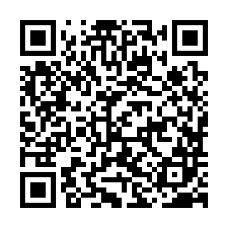 QR code for MLZ382